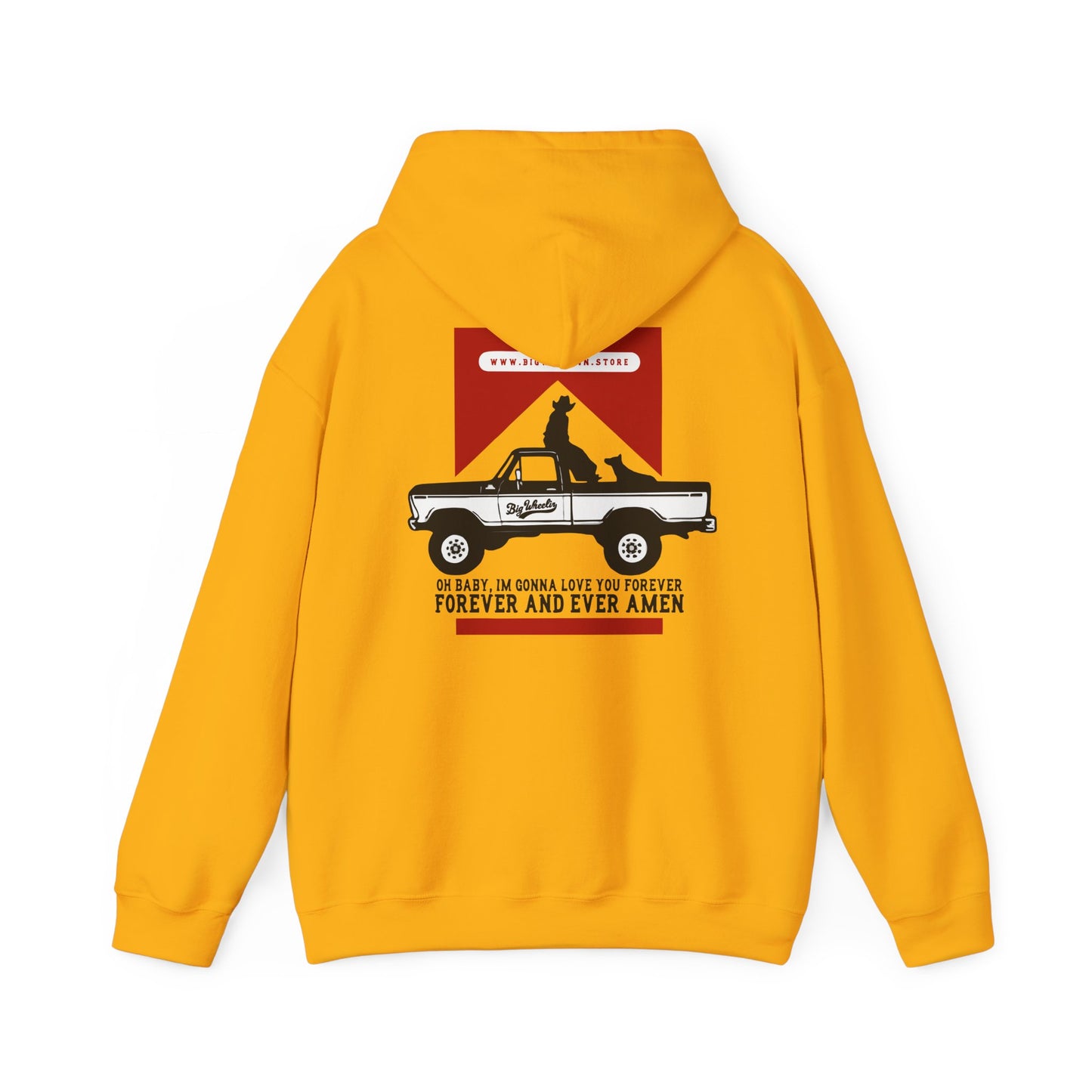 Forever Country Hoodie (Back Graphic)